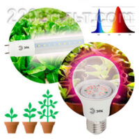 Лампы для растений
